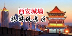 高中女生的嫩b中国陕西-西安城墙旅游风景区